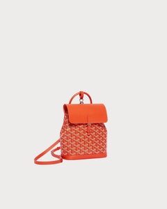 GOYARD Alpin Mini Backpack | 戈雅 背囊 (多色)