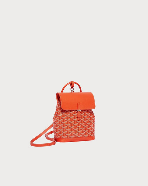 GOYARD Alpin Mini Backpack | 戈雅 背囊 (多色)
