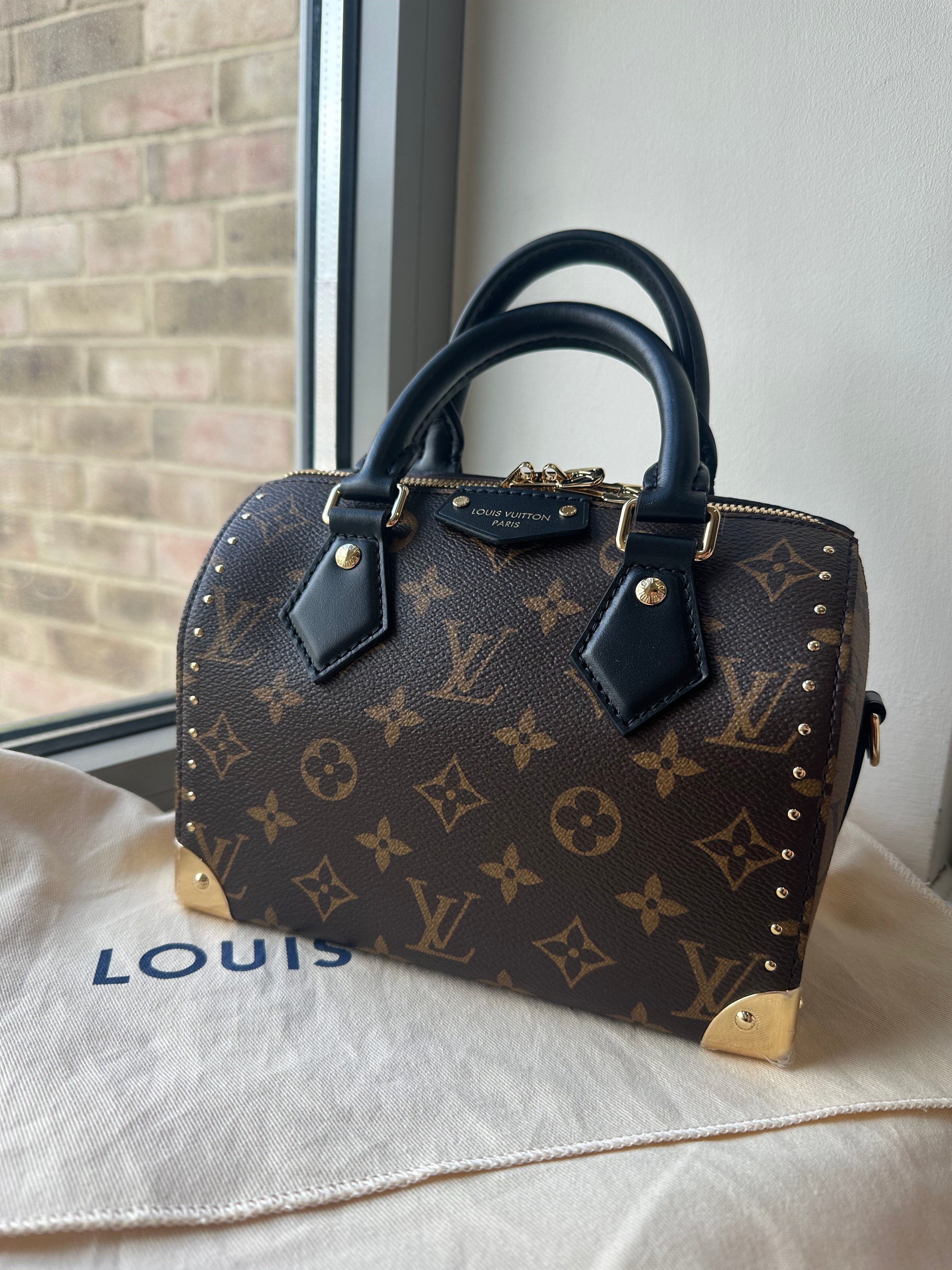 路易威登M13146 Speedy Trunk 20 Bag Monogram帆布手袋(啡色