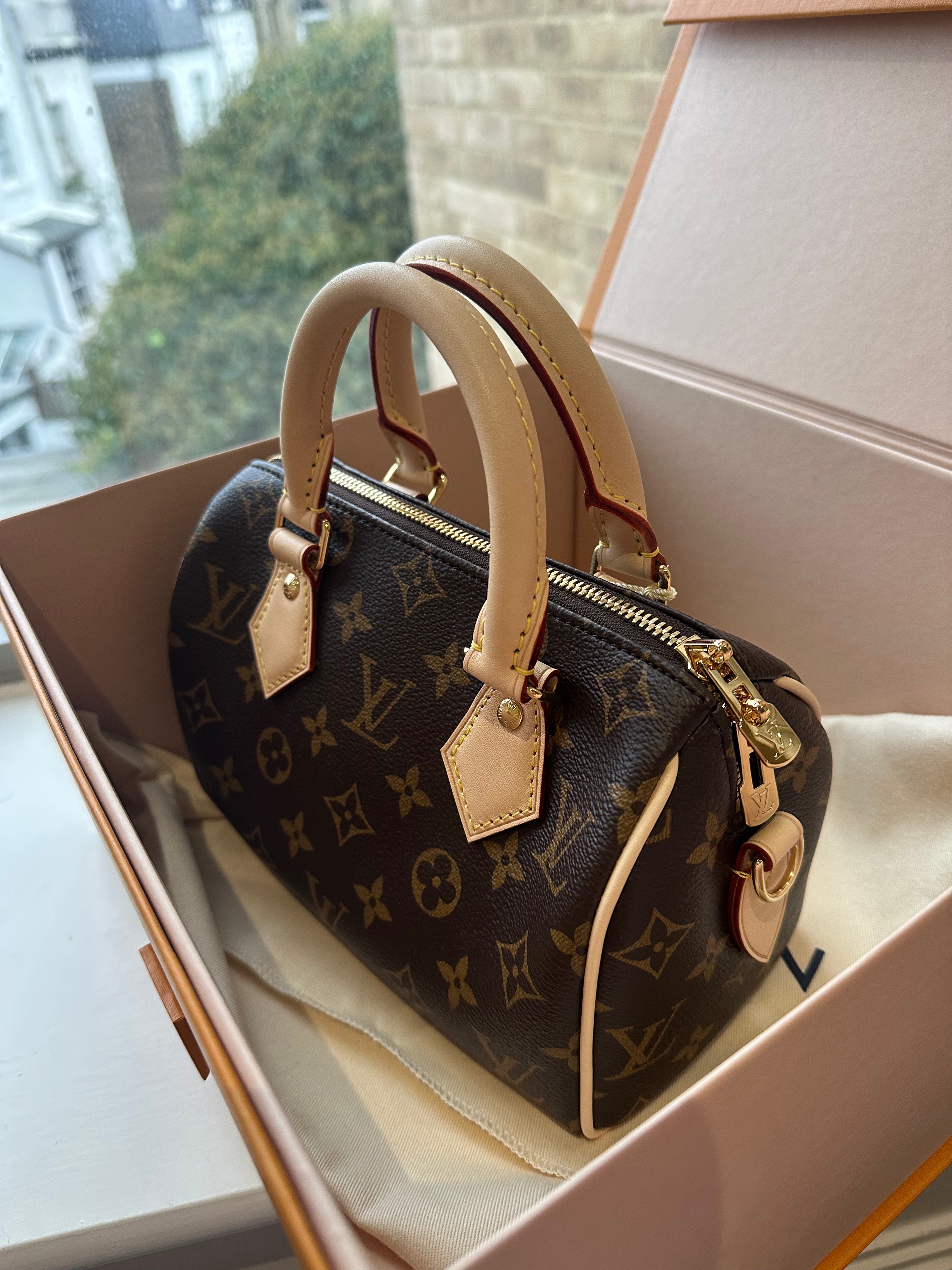 LOUIS VUITTON M46222 Speedy 20 Bag | 路易威登手袋(多色
