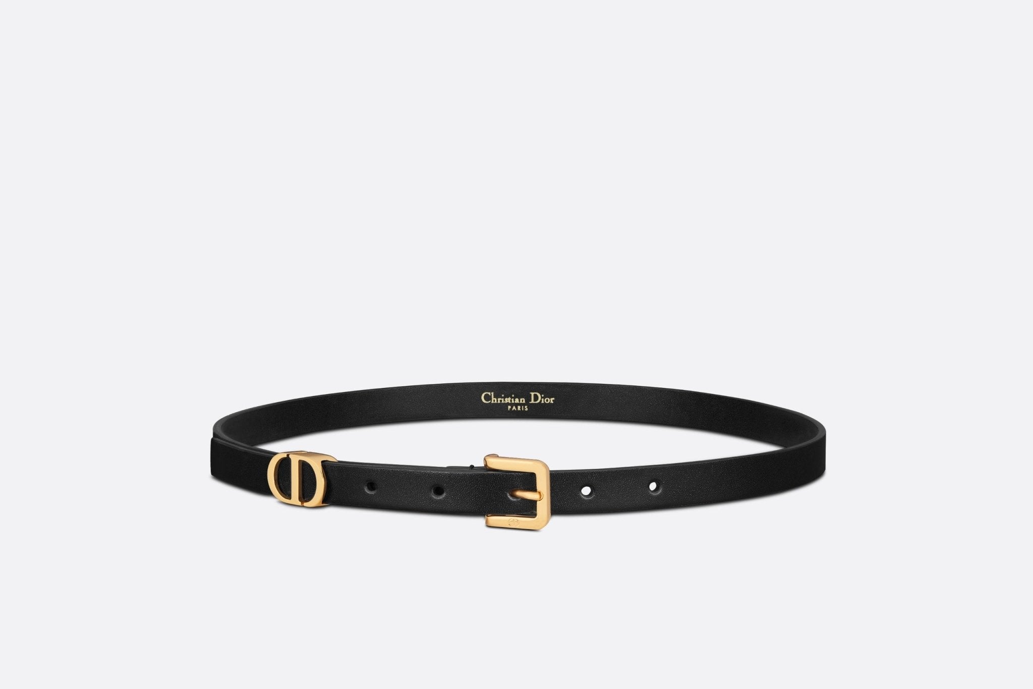 belt dior