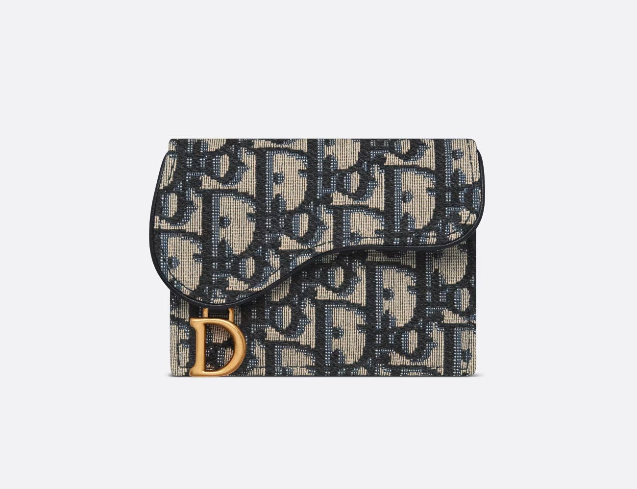 Christian dior saddle card holder sale