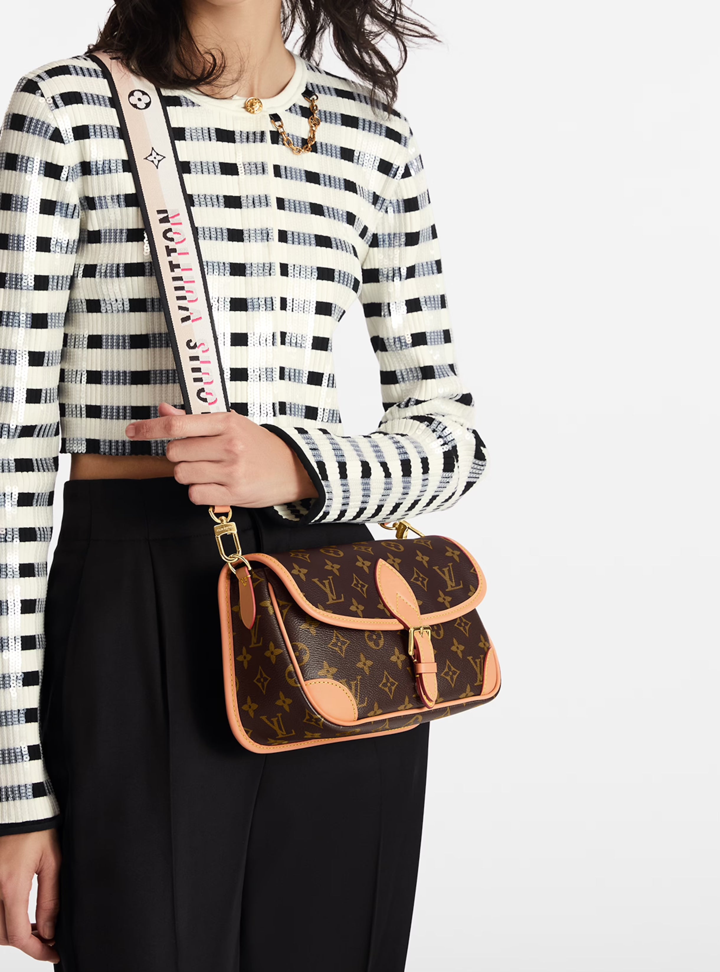 LOUIS VUITTON M45985 Diane Satchel | Louis Vuitton handbag (brown 