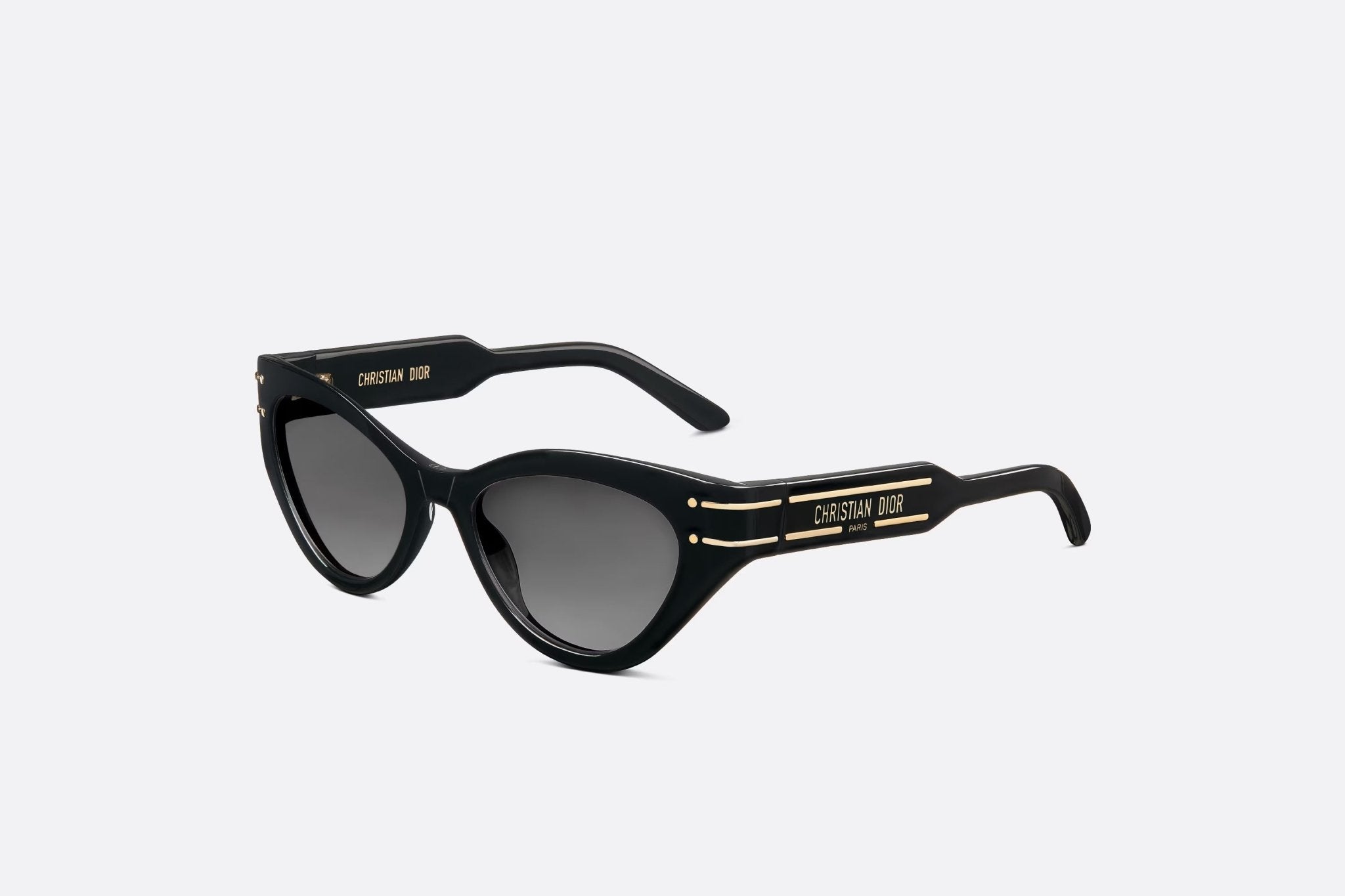 CHRISTIAN DIOR Signature Sunglasses B7I Dior sunglasses (black