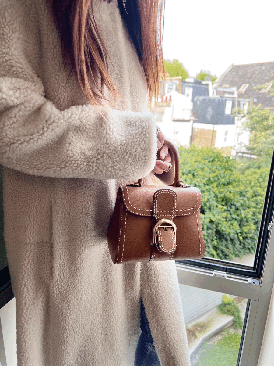 Delvaux brillant mini price hotsell