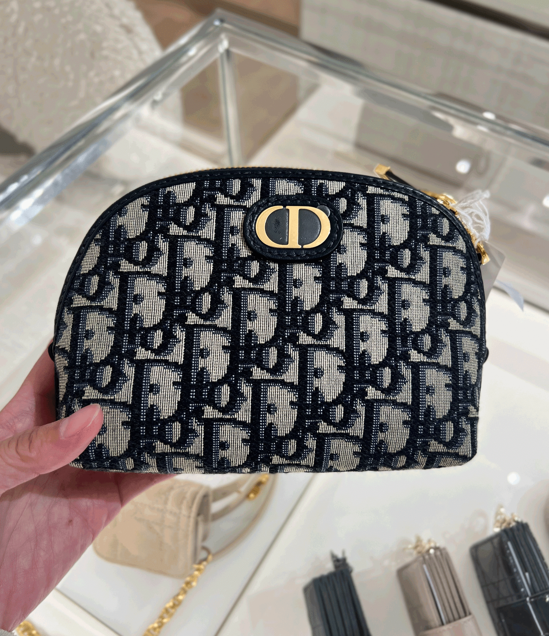 CHRISTIAN DIOR 30 Montaigne Beauty Pouch Oblique Jacquard(Blue