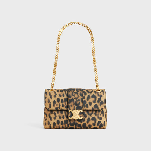 CELINE Leopard Print Teen Victoire Bag | 賽琳 手袋 (豹紋印花)
