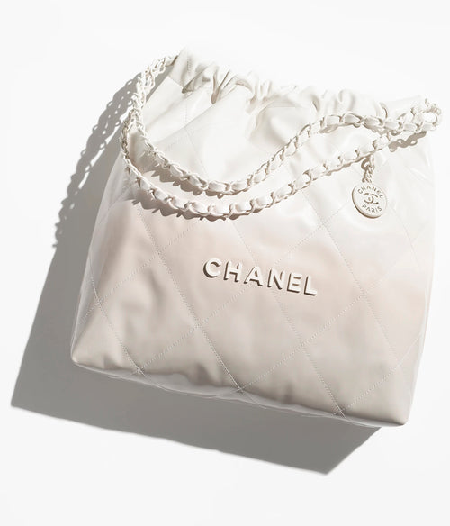 CHANEL AS3261 22 Handbag | Chanel handbag (multi-color)