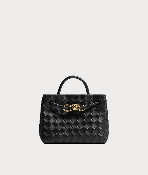 BOTTEGA VENETA Andiamo(Mini/4 Colors)
