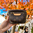 LOUIS VUITTON Mini Bumbag | 路易威登 迷你腰包 (啡色)