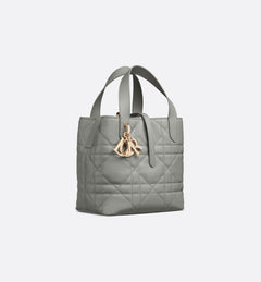 CHRISTIAN DIOR Small Dior Toujours Vertical Tote Bag | Dior Tote Bag (Multicolor)