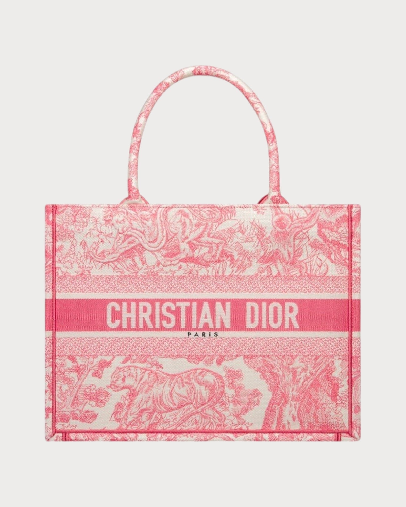 christian-dior-dior-book-tote-