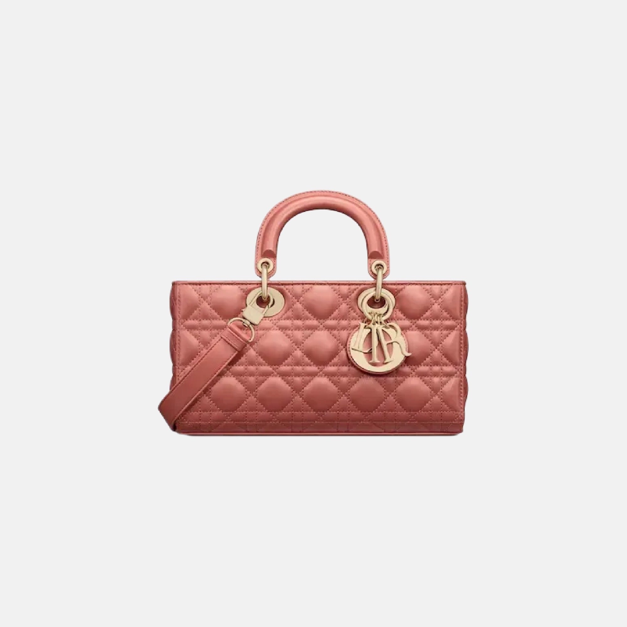CHRISTIAN DIOR Medium Lady D-Joy Bag | Dior D-Joy handbag